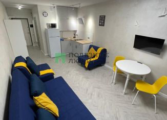 Квартира на продажу студия, 27.7 м2, село Мысхако, Счастливый переулок, 26