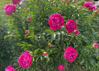 Продается участок, 11 сот., поселок Воробьевский