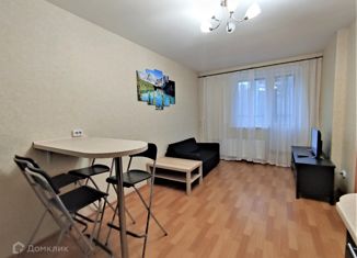 Сдача в аренду 1-ком. квартиры, 43 м2, Санкт-Петербург, улица Фёдора Абрамова, 21к3, метро Парнас