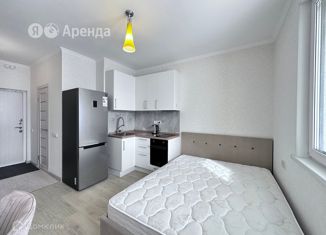 Сдам в аренду квартиру студию, 18 м2, деревня Столбово, проспект Куприна, 38к1