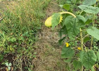 Продаю участок, 12.4 сот., СДТ Колокольчик