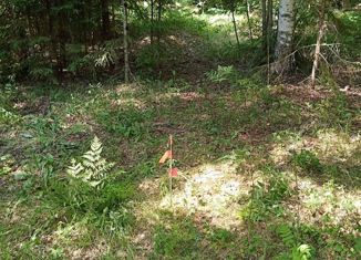 Продам земельный участок, 10 сот., деревня Туровка, Туровская улица