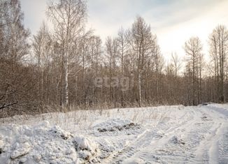 Продаю земельный участок, 6 сот., СНТ Сады Приобья, 2-я Центральная улица