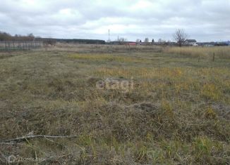 Продажа участка, 10 сот., село Нелжа, улица Мира