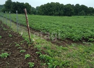 Продается земельный участок, 50 сот., деревня Лопатино