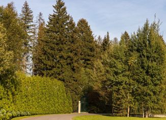 Земельный участок на продажу, 10.69 сот., деревня Папушево