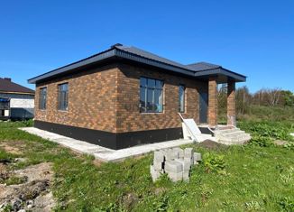 Продам дом, 100 м2, деревня Елкибаево, Деловая улица, 15В