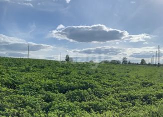 Продаю участок, 16.6 сот., деревня Калугина