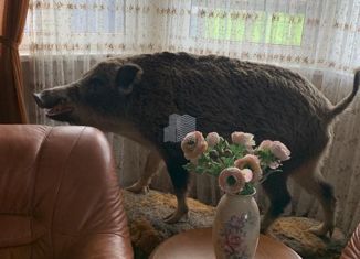 Продажа дома, 526 м2, деревня Петушки, Набережная улица