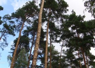 Продам участок, 31 сот., деревня Жуковка