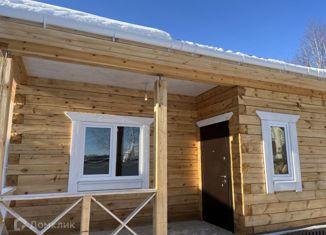 Продается дом, 65 м2, СНТ Химик, СНТ Химик, 2/97