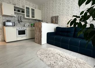 Продается 1-комнатная квартира, 48.5 м2, Ижевск, улица Михаила Петрова, 43к1, Восточный жилой район