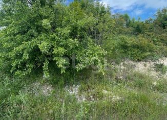 Продажа участка, 8 сот., село Васильевка, улица Мира