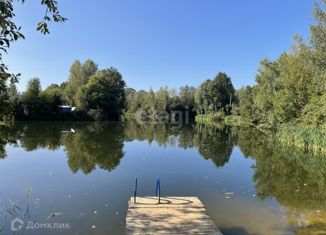 Продается земельный участок, 42 сот., деревня Животинки, 1-я Благодатная улица