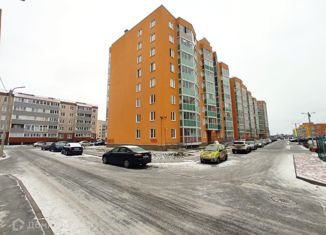 Продается двухкомнатная квартира, 51.3 м2, Коммунар, Ново-Антропшинская улица, 8