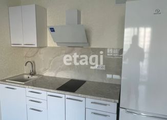 Квартира на продажу студия, 23.8 м2, Мурино, улица Шувалова, 22к2, ЖК Витамин