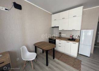 Продается квартира студия, 26 м2, Анапа, ЖК Раз-Два-Три, Анапское шоссе, 24к5