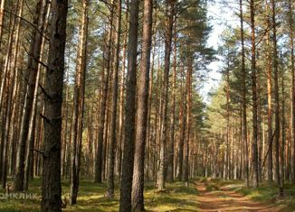 Продажа участка, 150 сот., деревня Чесноково