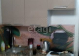 Продажа квартиры студии, 22.8 м2, село Богашёво, улица Новостройка, 19Б/2