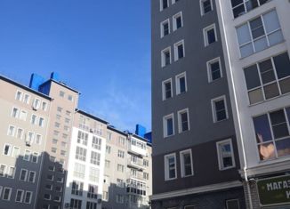 Продажа 1-комнатной квартиры, 64 м2, Арзамас, улица Карла Маркса, 61