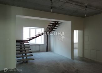 Продается многокомнатная квартира, 513.3 м2, Новосибирск, метро Гагаринская, Красный проспект, 153Б