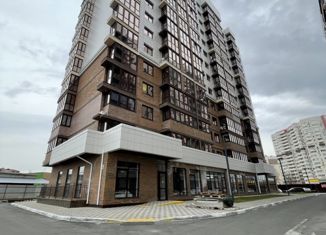 Однокомнатная квартира на продажу, 45 м2, Анапа, улица Омелькова, 93