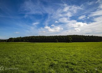 Продается земельный участок, 500 сот., деревня Добряницы, 41К-358