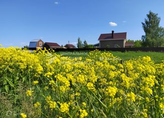 Продам земельный участок, 20 сот., село Панино, Красная улица