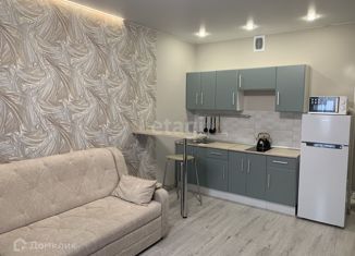 Сдам в аренду квартиру студию, 27 м2, Новосибирск, улица Ошанина, 1, улица Ошанина