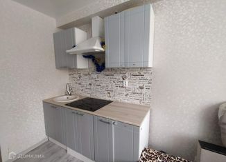 Продается 1-комнатная квартира, 18.6 м2, Нижний Новгород, улица Энтузиастов, 10к1, улица Энтузиастов