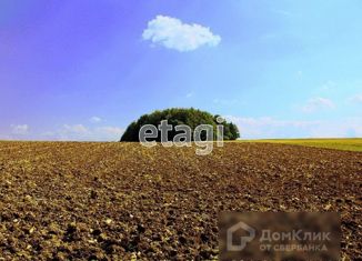 Продам земельный участок, 1000 сот., село Фрунзе, площадь имени М.К. Дорохина