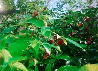 Продам дом, 20 м2, рабочий посёлок Жатай, Северная улица