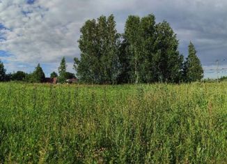 Продам участок, 37 сот., деревня Неронов Бор