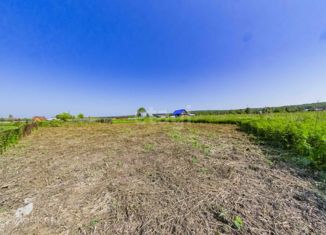 Продаю земельный участок, 15 сот., село Колмогорово, Мирная улица