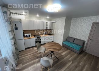 Продается 1-комнатная квартира, 50 м2, Ижевск, улица Холмогорова, 111, ЖК Новый Парк