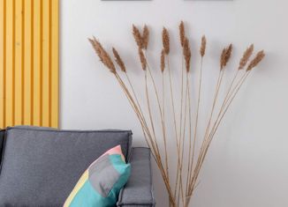 Продается квартира студия, 22.4 м2, Красное Село, Стрельнинское шоссе, 3А