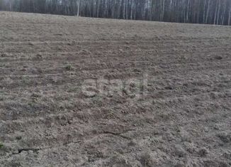 Продается земельный участок, 50.51 сот., село Шунга