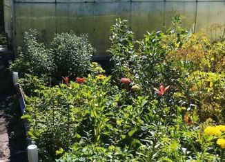 Продажа дома, 36 м2, садоводческий массив № 4