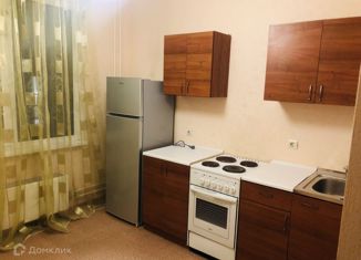 Сдается 1-комнатная квартира, 32 м2, Нижний Новгород, Бурнаковская улица, 55, микрорайон Бурнаковская низина