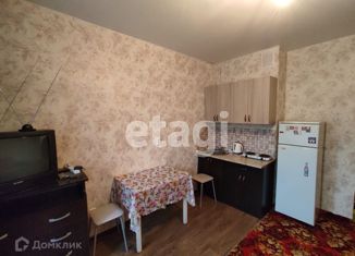 Квартира в аренду студия, 25 м2, Тюмень, Верхнетарманская улица, 1