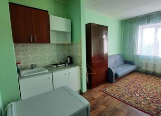 Продаю квартиру студию, 23 м2, Новосибирск, улица Гребенщикова, 5/1, улица Гребенщикова