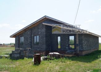Продажа дома, 108 м2, село Дружино, Уютная улица, 2