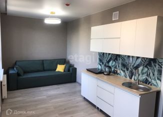 Сдам квартиру студию, 30 м2, Новосибирск, улица Гаранина, 39