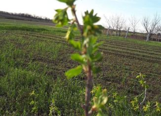 Продам земельный участок, 15 сот., поселок Щербиновский, Западная улица