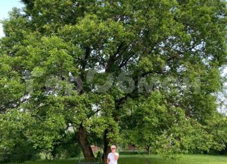 Сдам в аренду дом, 300 м2, деревня Ерюхино, Мятная улица