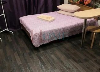 Сдам 1-ком. квартиру, 30 м2, Новосибирск, улица Гоголя, 29, улица Гоголя