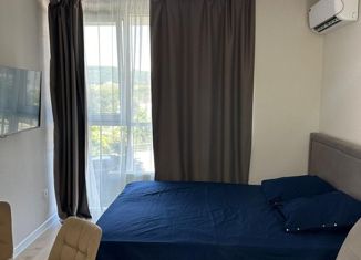 Продаю квартиру студию, 22.1 м2, Сочи, микрорайон Бытха, Ясногорская улица, 16/6к2