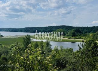 Продается участок, 60 сот., посёлок Михалёво, Болотный проезд