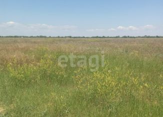 Участок на продажу, 10 сот., СНТ Отдых