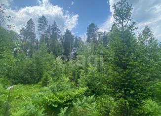 Продается земельный участок, 20 сот., село Верх-Бийск, Школьная улица